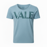 Front view of a VALE brand scoop neck t-shirt for men in grey, white, and blue colors featuring a green geometric logo.