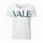 Front view of a VALE brand scoop neck t-shirt for men in grey, white, and blue colors featuring a green geometric logo.